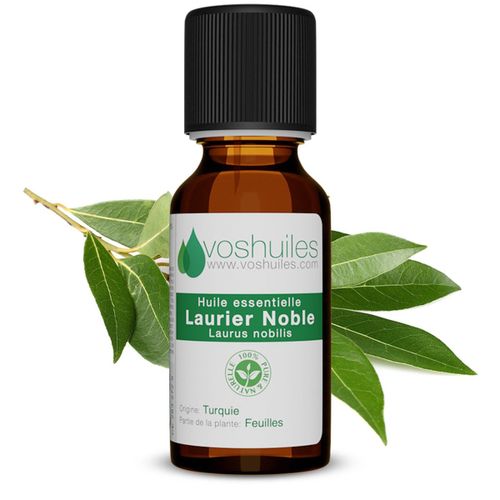 Huile Essentielle De Laurier Noble - 10ml 