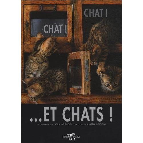 Chat ! Chat - Et Chats !