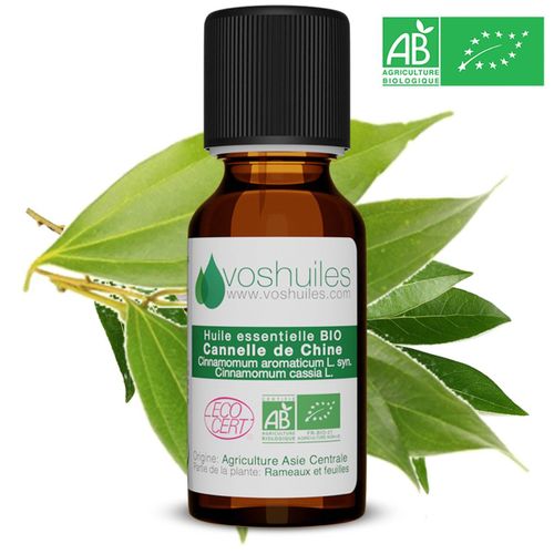 Huile Essentielle Bio De Cannelle De Chine - 10ml 
