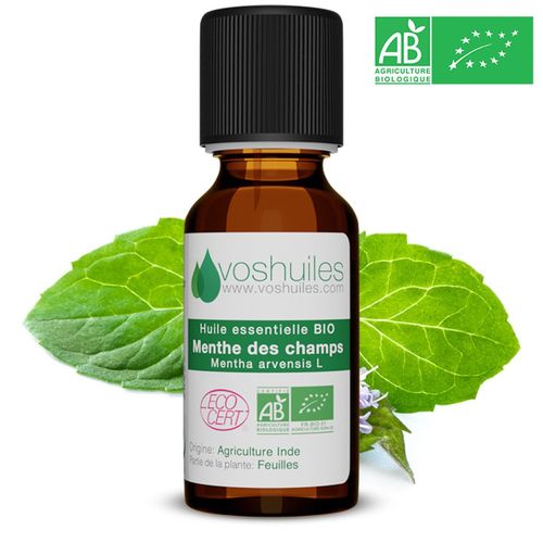 Huile Essentielle Bio De Menthe Des Champs - 10ml 