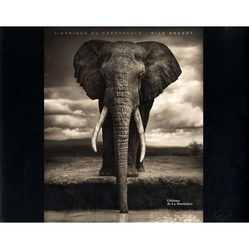 L'afrique Au Crépuscule