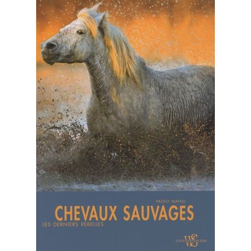 Chevaux Sauvages
