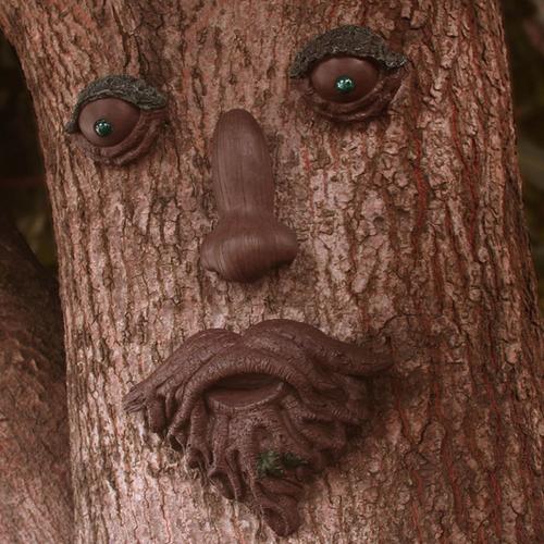 Moustache En Résine, Visage De Vieil Homme, Arbre À Câliner, Décoration De Jardin