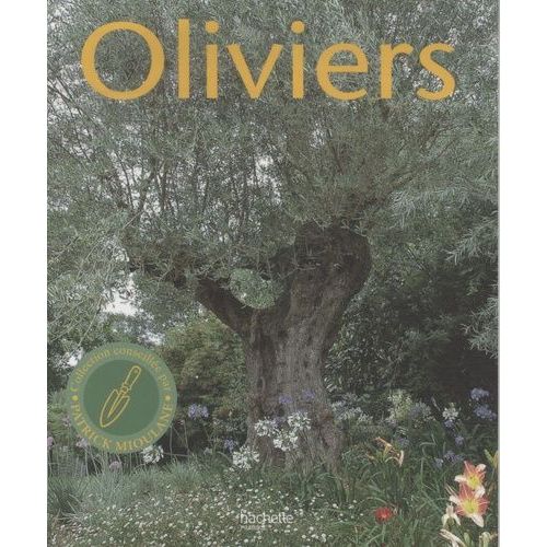 Oliviers - L'histoire Et La Culture De Ces Arbres De Légende