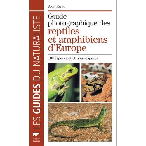 Reptiles Et Amphibiens D'europe