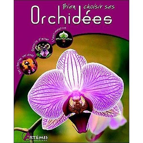 Bien Choisir Ses Orchidées