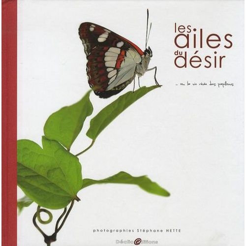 Les Ailes Du Désir - Ou La Vie Rêvée Des Papillons