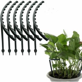 Support de plantes - Support pour plantes grimpantes - Tomate en spirale -  Bâton pour