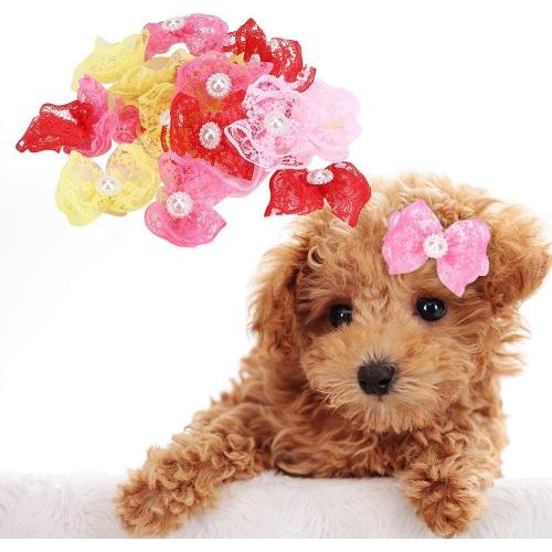 20pcs Cheveux Pet Arcs Multicolore Dentelle Bowknot Toilettage Accessoires Topknot Accessoires Cheveux Avec Élastiques Pour Chat Moyen Petit Chien