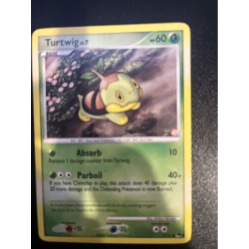 Pokemon Tortipouss 17 / 17