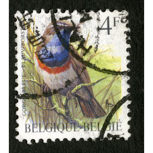 Timbre Oblitéré Belgique, Belgie, Gorge Bleu, Blauwborstje, 4 F