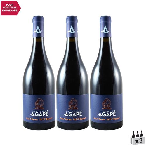 Domaine Les Sources D'agapé Saint-Amour Petit Besset Rouge 2020 X3