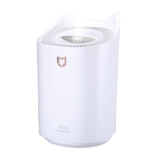 Mini humidificateur d'air à Double buse, brumisateur USB, diffuseur d'arôme de remplissage de beauté, fonctionnement Ultra-silencieux, brumisateur propre