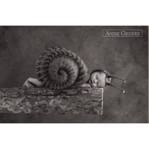 Carte Postale A223 - Anne Geddes Copyright 2005