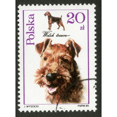 Timbre Oblitéré Polska, Welsh Terrier, Wysocki, 1989, 20 Zl