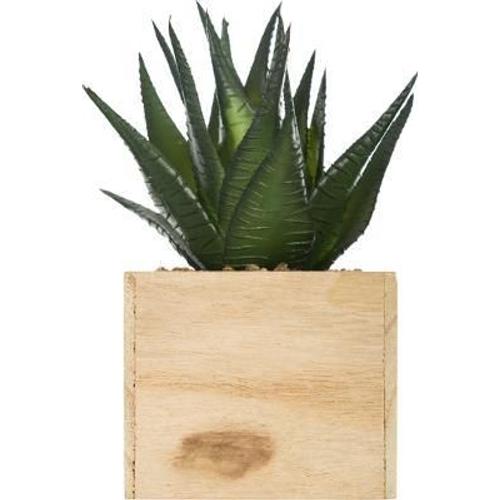 Plante Verte Bois Chic