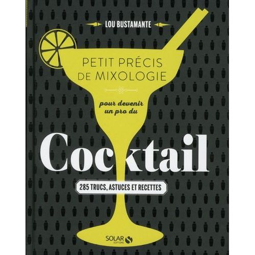 Petit Précis De Mixologie Pour Devenir Un Pro Du Cocktail - 285 Trucs, Astuces Et Recettes