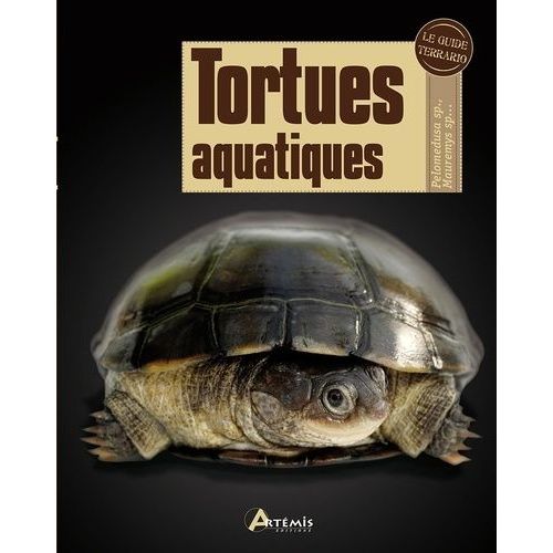 Tortues Aquatiques