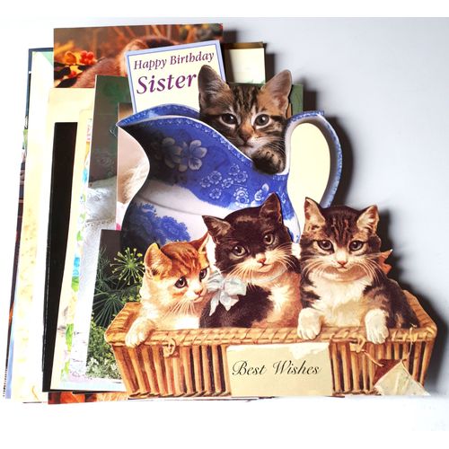 Lot De 27 Images Cartonnées Avec De Beaux Chats Et Chatons De Toutes Races Ou Couleurs - Formats Différents - Pour Customisation, Encadrement, Collection Ou Plaisir Des Images