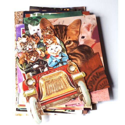 Lot De 32 Images Cartonnées Avec De Beaux Chats Et Chatons De Toutes Races Ou Couleurs - Formats Différents - Pour Customisation, Encadrement, Collection Ou Plaisir Des Images