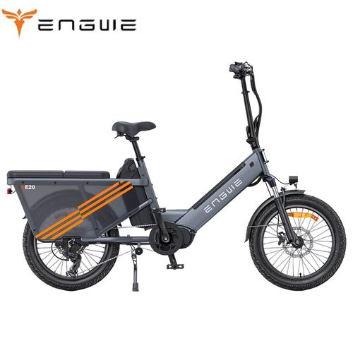 Vélo Électrique Cargo Engwe Le20, Moteur À Entraînement Central 250 W, Capteur De Couple, Batterie 48 V 19,2 Ah, Pneus 20 X 3,0 Pouces, Vitesse Maximale 25 Km/H - Gris