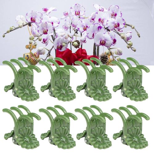 Pinces pour plante d'orchidées vertes à 5 griffes pince réglable pour grimper tige de Support de fleur fixée aux piquets 20-50 pièces