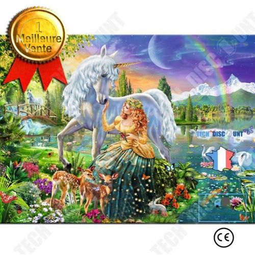 TD® Bricolage Peinture par Numéros Princesse fée Toile Impression Photo Mur Art Photo pour Salon-40x50cm-Sans Cadre - Style 85