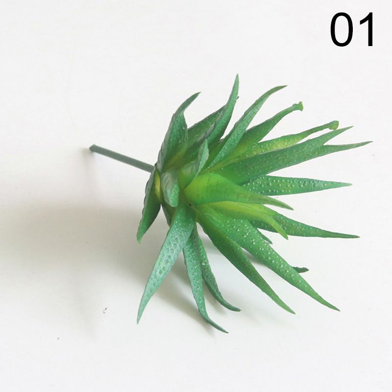 Graines De Plantes Grasses Sempervivum Mélangées - Succulentes, Cactus, Faciles à Cultiver - Pour Jardin Ou Intérieur