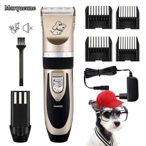 Tondeuse Chien Professionnelle Marqueune Charge Rapide Tondeuse Chat Persan Silencieuse Tondeuse Animaux Avec 4 Peignes Or