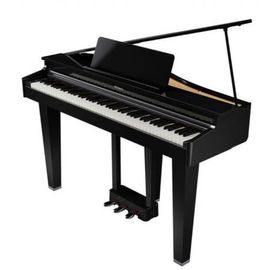 Roland - Gp-3