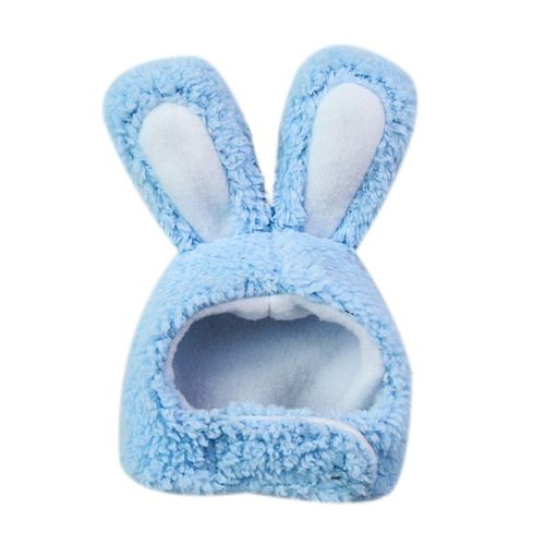 Casquette Amusante Pour Chien Et Chat, 1 Pièce, Chapeau Chaud Pour Fête De Nouvel An, Noël, Cosplay, Accessoires Photo, Couvre-Chef Pour Chat