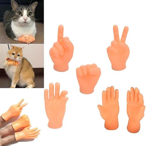 Mini Mains Pour Chats, Petites Mains Pour Chats Croisés, Petites Mains Pliées Pour Pattes De Chat