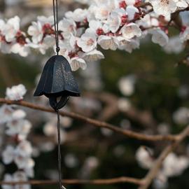 Carillon en bois japonais pour sonnette créative, rappel de porte, aimant,  aspiration, vent, vente en gros