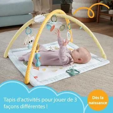 Fisher-Price Hrb15 Gymnase Et Tapis D'veil Pour Bb Tissu, Plastiqu - 2