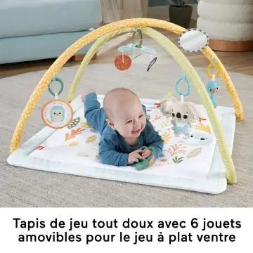 Fisher-Price Hrb15 Gymnase Et Tapis D'veil Pour Bb Tissu, Plastiqu - 3