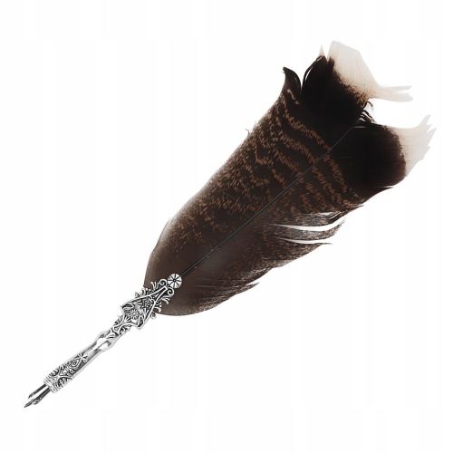 Stylo Plume Classique Avec Plumes Vintage
