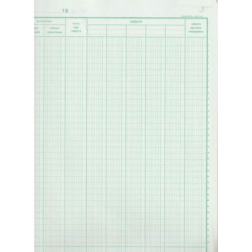 Journal Centralisateur Jaune Exacompta Folioté 31 Pages,   Tracé J C 5 Piqûre N° 6590  À La Française 32x25 Cm  (34 Lignes) Mensuel  Débit Crédit (Sur Les Belles Pages)