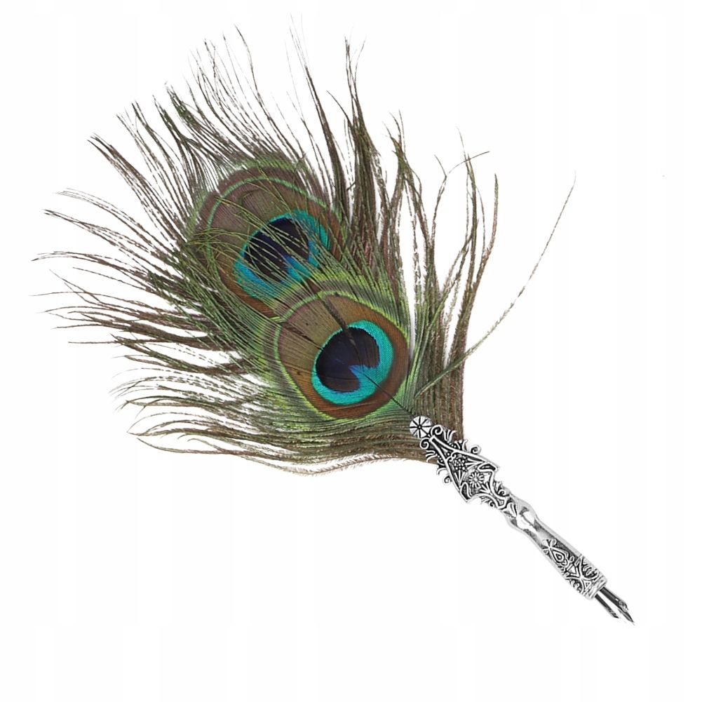 Stylo Plume Classique Avec Plumes Vintage