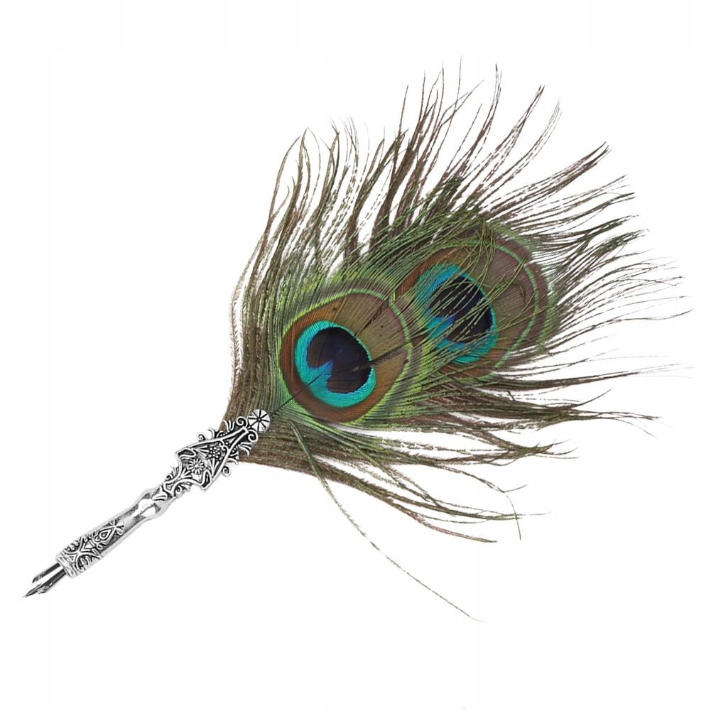 Stylo Plume Classique Avec Plumes Vintage - 2
