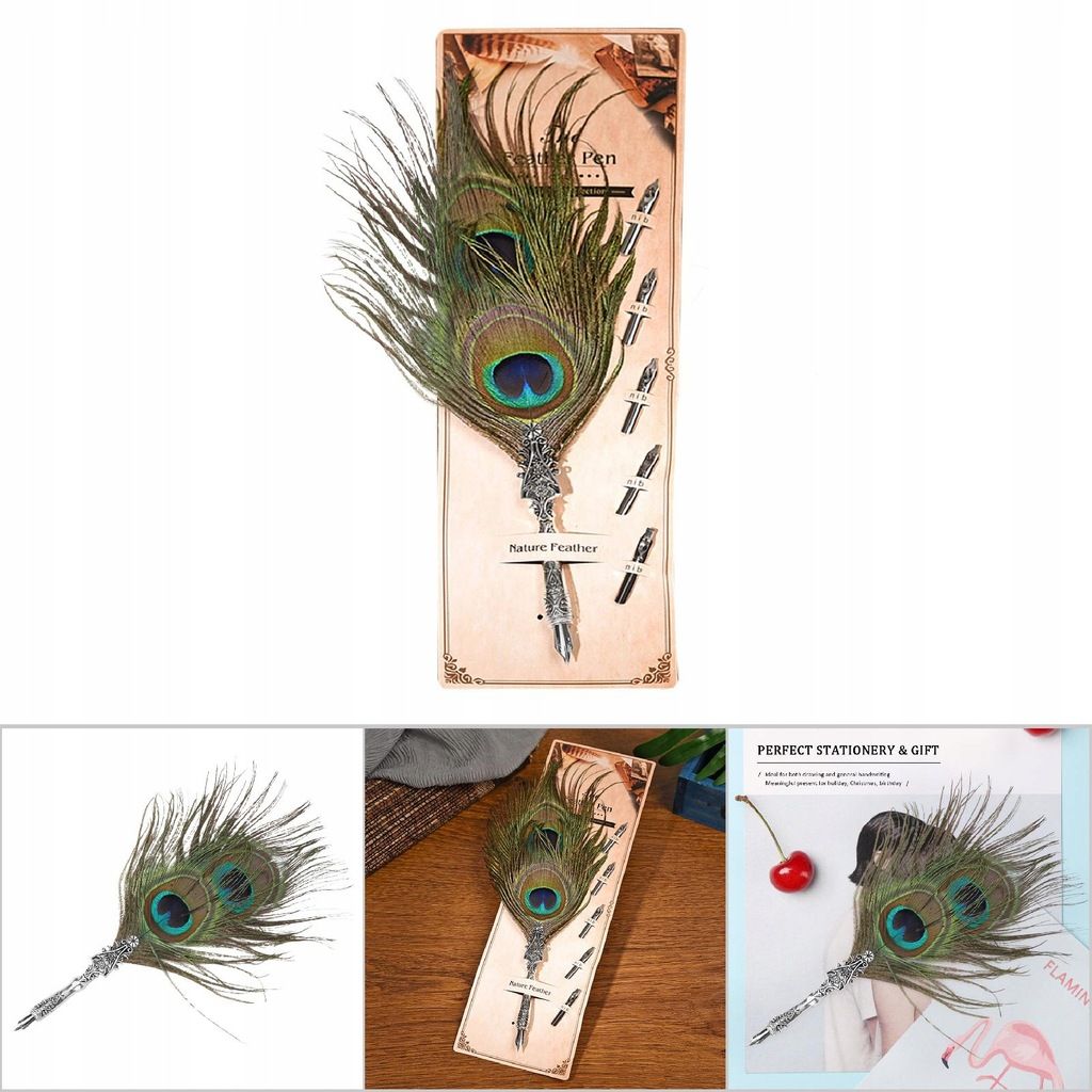 Stylo Plume Classique Avec Plumes Vintage - 4