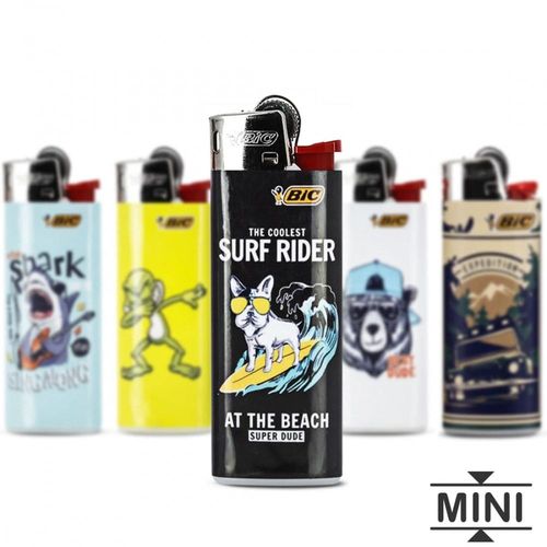 bic mini couleur surprise