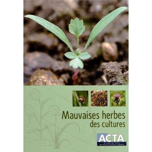 Mauvaises Herbes Des Cultures