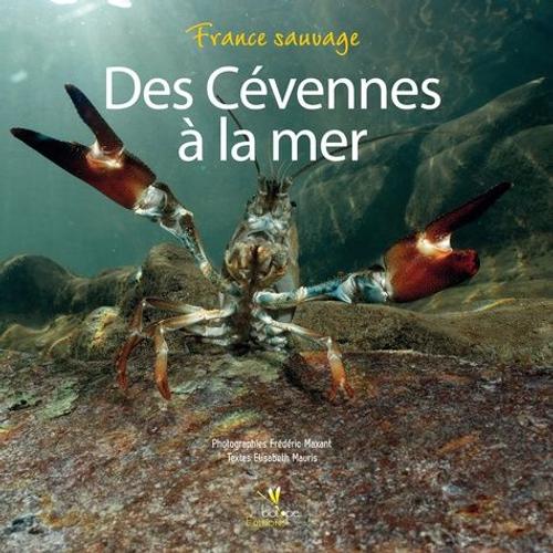 Des Cévennes À La Mer