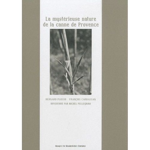 La Mystérieuse Nature De La Canne De Provence