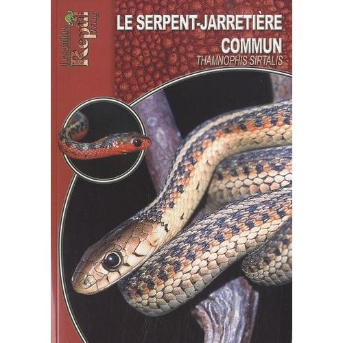 Le Serpent-Jarretière Commun - Thamnophis Sirtalis