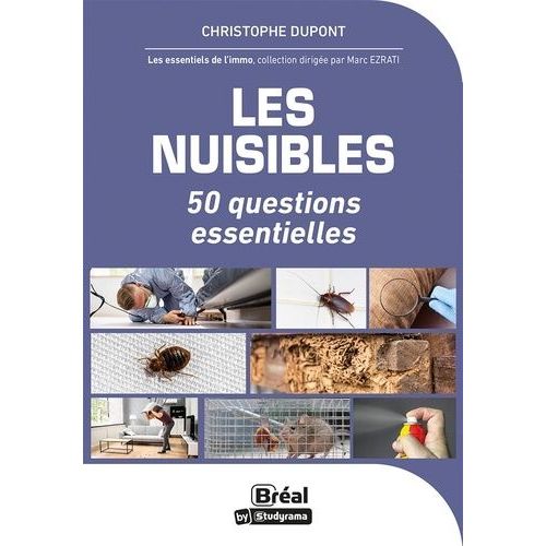 Lutter Contre Les Nuisibles Dans Son Logement - Les Conseils Des Pros Pour Mieux Les Connaître Et En Venir À Bout Si Nécessaire