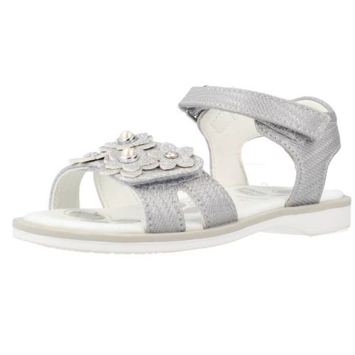 Chicco Cetra Colour Gris