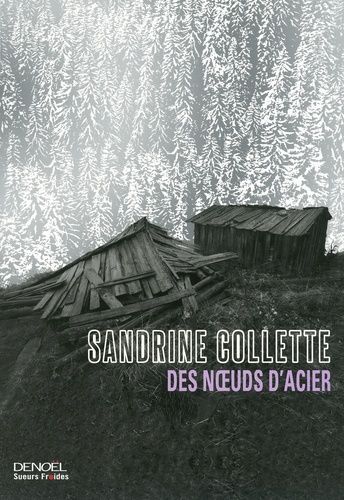 Acheter Des noeuds d'acier de Sandrine Collette, occasion - Quai des  livres - le livre d'occasion pas cher