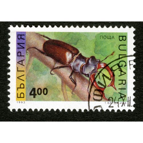 Timbre Oblitéré Bulgaria, 1993, 4,00