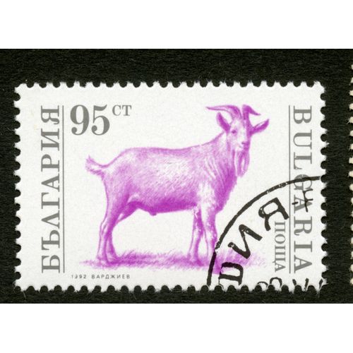 Timbre Oblitéré Bulgaria, 1992, 95 Ct